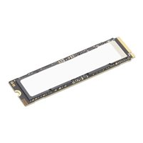 Lenovo - SSD - krypterat - 2 TB - performance - inbyggd -