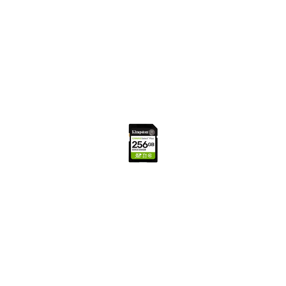 Kingston Canvas Select Plus - Flash-minneskort - 256 GB -