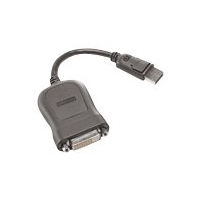 Lenovo - DVI-kabel - enkel länk - DisplayPort (hane) till