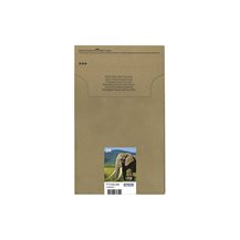 Epson 24 Multipack Easy Mail Packaging - 6-pack - 29.1 ml -