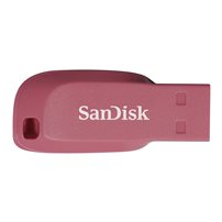 SanDisk Cruzer Blade - USB flash-enhet - 32 GB - USB 2.0 -