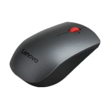 Lenovo Professional - Mus - laser - 5 knappar - trådlös -