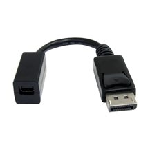 StarTech.com 6in DisplayPort to Mini DisplayPort Video