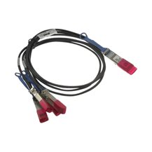 Dell 100GbE Direct Attach - Övergångskabel - QSFP28 (hane)