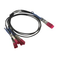 Dell 100GbE Direct Attach - Övergångskabel - QSFP28 (hane)