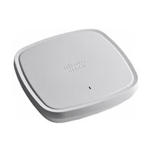 Cisco Catalyst 9130AXE - Trådlös åtkomstpunkt - 1GbE, 5GbE,