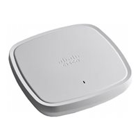 Cisco Catalyst 9130AXE - Trådlös åtkomstpunkt - 1GbE, 5GbE,