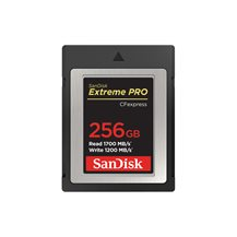SanDisk Extreme Pro - Flash-minneskort - 256 GB - CFexpress