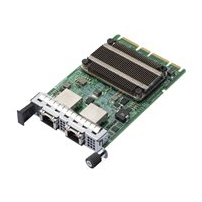 Broadcom NetXtreme E-Series N210TP - Nätverksadapter - PCIe