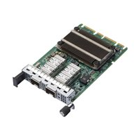 Broadcom NetXtreme E-Series N210P - Nätverksadapter - OCP