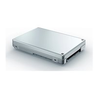 Solidigm D7 Series D7-P5620 - SSD - 1.6 TB - inbyggd - 2.5"