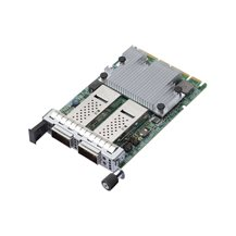 Broadcom NetXtreme E-Series N2100G - Nätverksadapter - PCIe