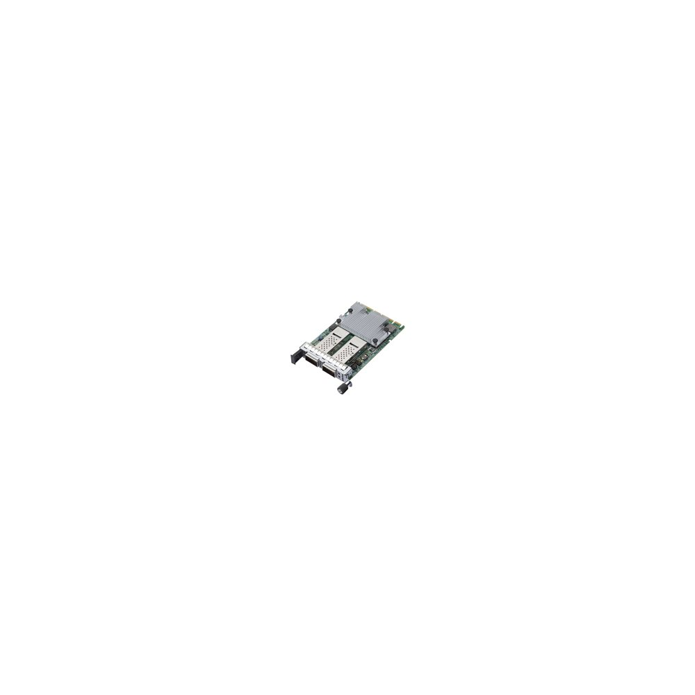 Broadcom NetXtreme E-Series N2100G - Nätverksadapter - PCIe