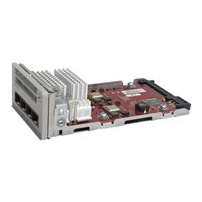 Cisco Catalyst 9200 Series Network Module - Expansionsmodul