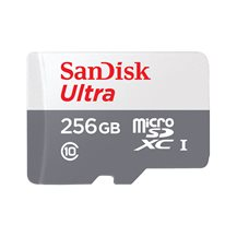 SanDisk Ultra - Flash-minneskort - 256 GB - Class 10 -