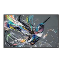 Philips 86BDL3511Q - 86" Diagonal klass (85.6" visbar) -