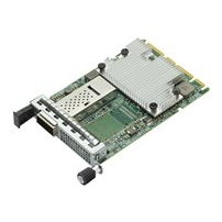 Broadcom BCM957504-N1100G - Nätverksadapter - PCIe 4.0 x16