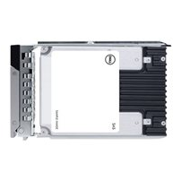 Dell - Kundsats - SSD - Mixed Use - 960 GB - hot-swap -