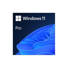 Windows 11 Pro - Licens - 1 licens - ESD - Nationell