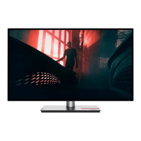 Lenovo ThinkVision P27h-30 - LED-skärm - 27" - 2560 x 1440