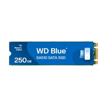 WD Blue SA510 WDS250G3B0B-00AXS0 - SSD - 250 GB - inbyggd -