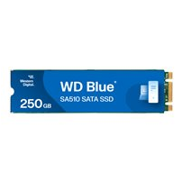 WD Blue SA510 WDS250G3B0B-00AXS0 - SSD - 250 GB - inbyggd -