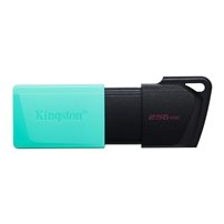 Kingston DataTraveler Exodia M - USB flash-enhet - 256 GB -
