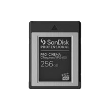 SanDisk Professional - Flash-minneskort - 256 GB -