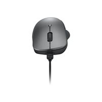 Lenovo Professional - Mus - ergonomisk - optisk blå - 6