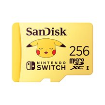 SanDisk - Flash-minneskort - 256 GB - Video Class V30 /