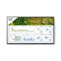 Sony Bravia Professional Displays FW-55BZ30L - 55" Diagonal