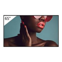 Sony Bravia Professional Displays FW-65BZ40L - 65" Diagonal