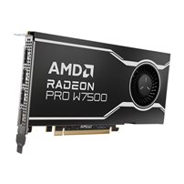 AMD Radeon Pro W7500 - Grafikkort - Radeon Pro W7500 - 8 GB
