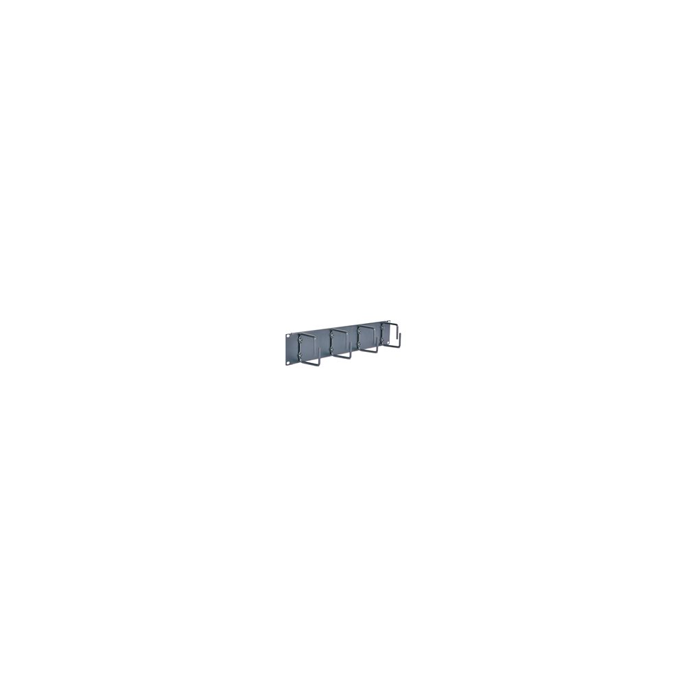APC - Kabelhållare - svart - 2U - för NetShelter EP,