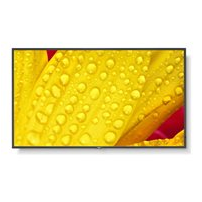 NEC MultiSync M651-2 - 65" Diagonal klass (64.5" visbar) -