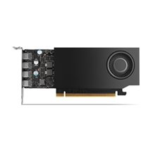 NVIDIA RTX A1000 - Grafikkort - RTX A1000 - 8 GB GDDR6 -