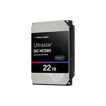 WD Ultrastar DC HC580 WUH722422AL5204 - Hårddisk -