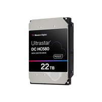 WD Ultrastar DC HC580 WUH722422AL5204 - Hårddisk -