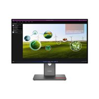 Lenovo ThinkVision P27Q-40 - LED-skärm - 27" - 2560 x 1440